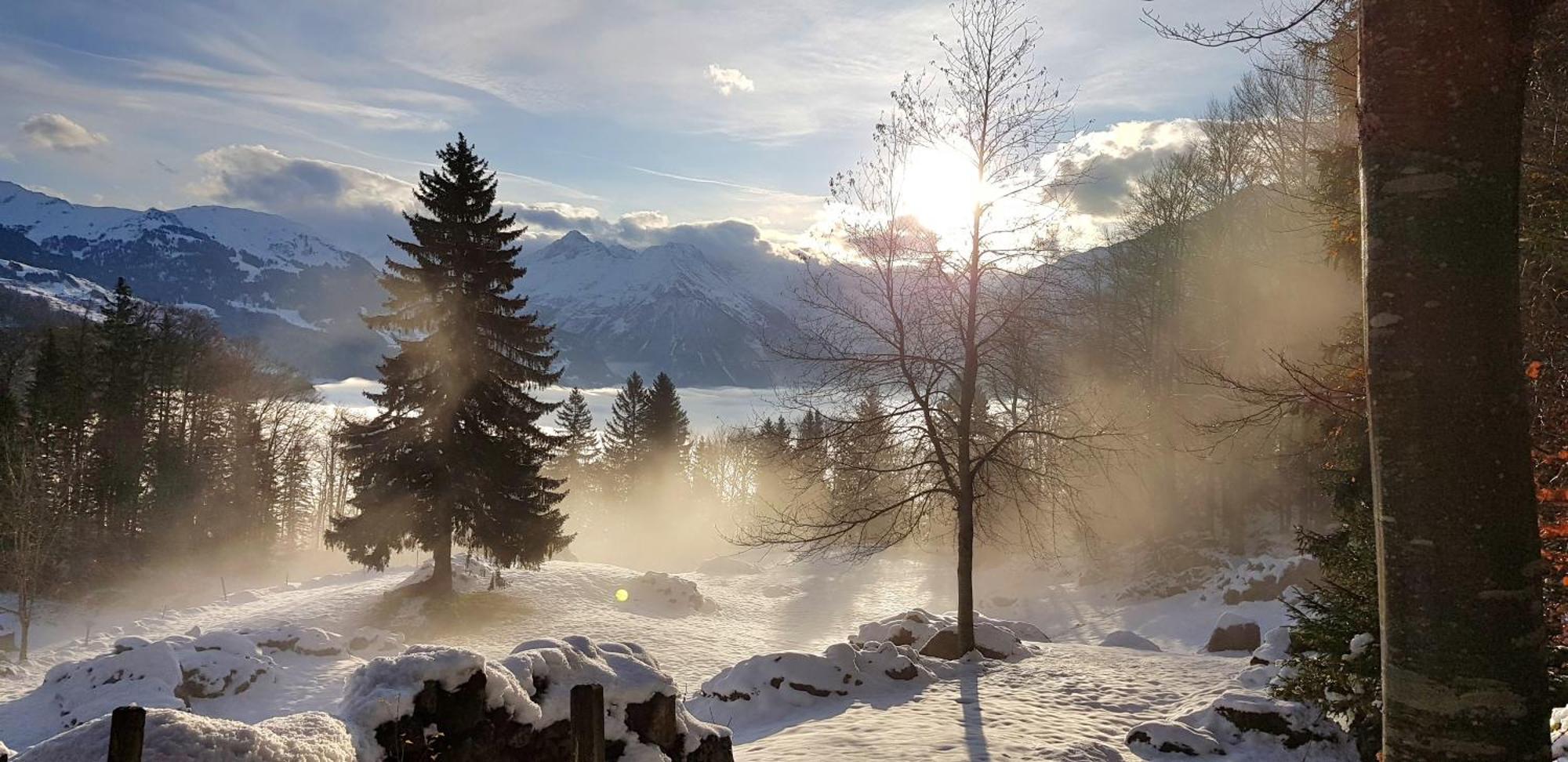 Gemuetliche Fewo Mit Sauna Inmitten Der Berge マイリンゲン エクステリア 写真