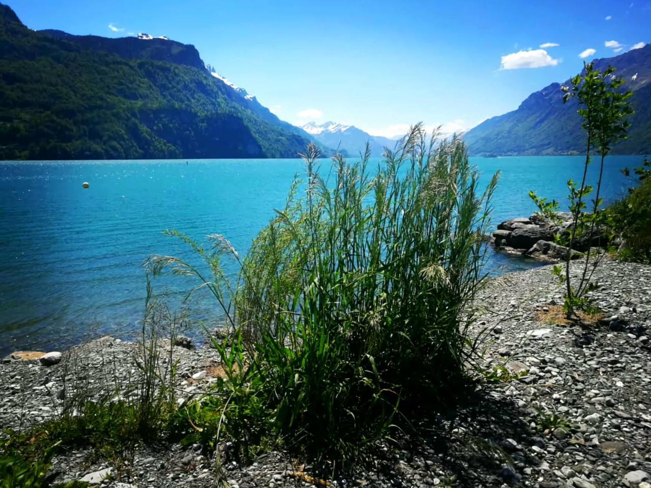Gemuetliche Fewo Mit Sauna Inmitten Der Berge マイリンゲン エクステリア 写真