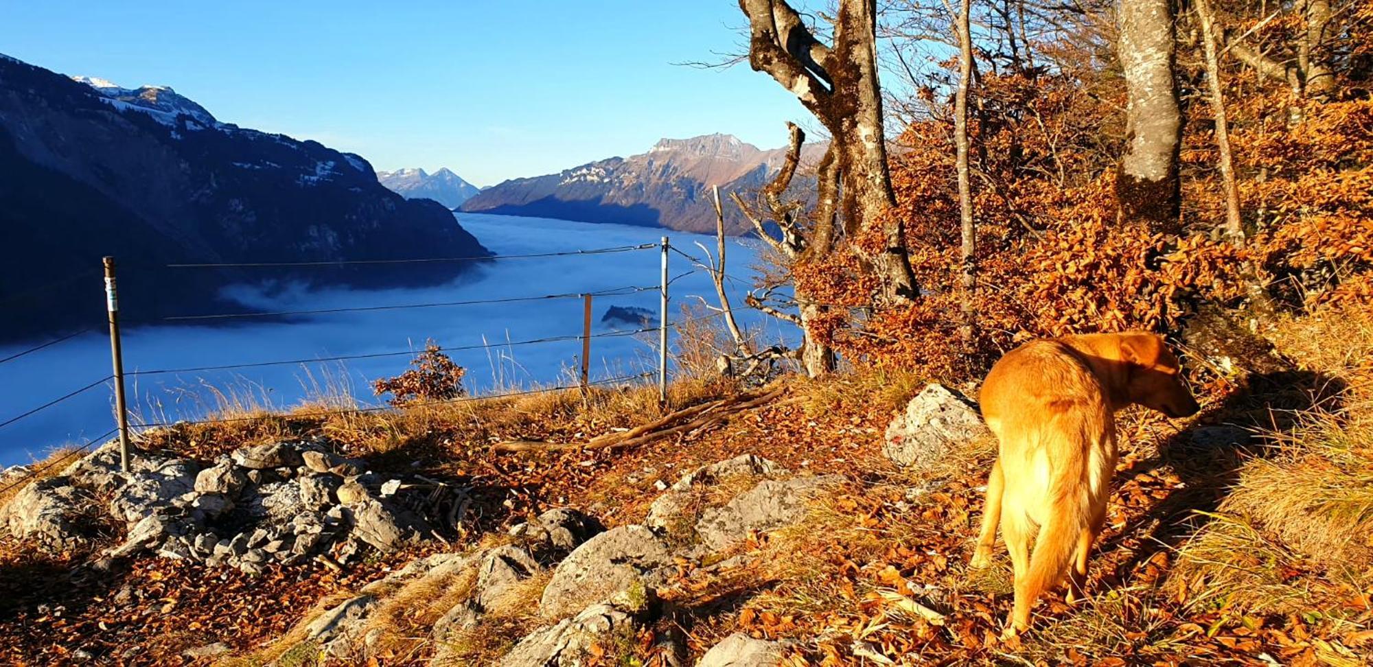 Gemuetliche Fewo Mit Sauna Inmitten Der Berge マイリンゲン エクステリア 写真