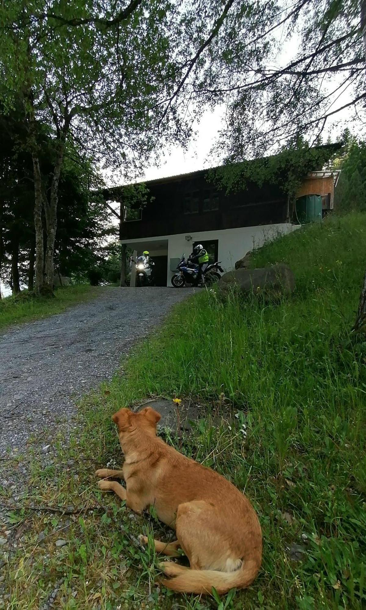 Gemuetliche Fewo Mit Sauna Inmitten Der Berge マイリンゲン エクステリア 写真
