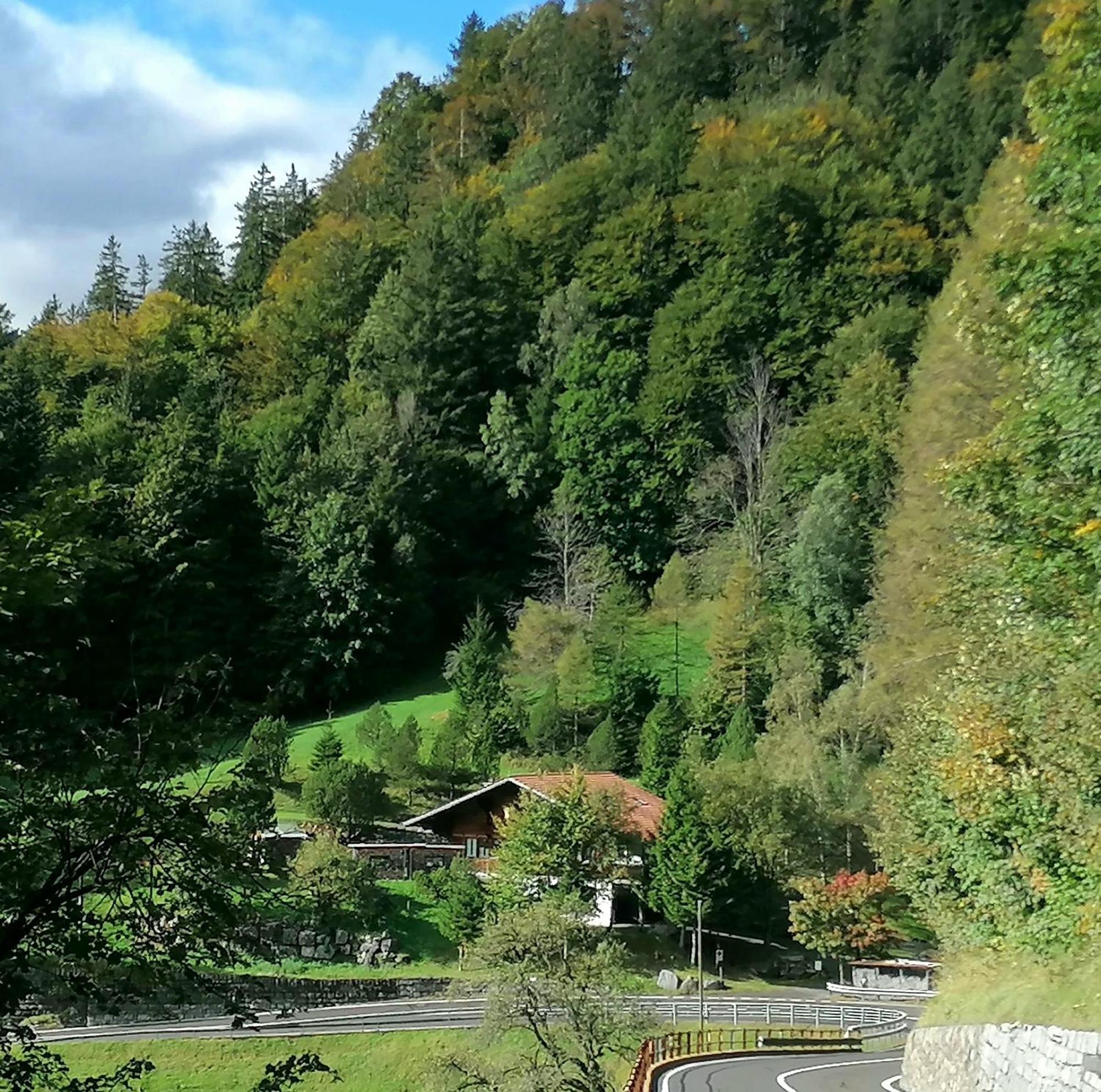 Gemuetliche Fewo Mit Sauna Inmitten Der Berge マイリンゲン エクステリア 写真